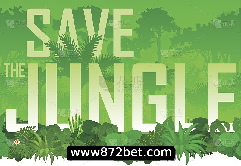 Integração de APIs 872bet